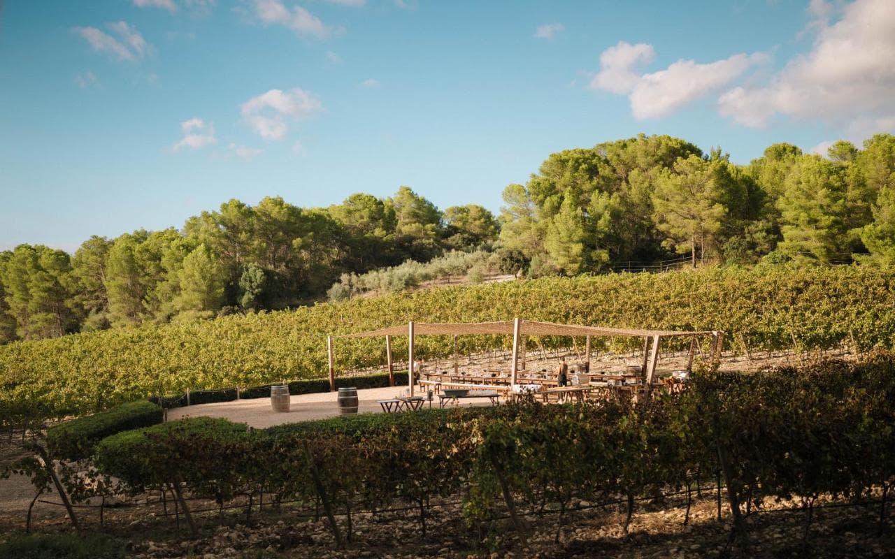 Finca Serena Mallorca, Small Luxury Hotels view 7