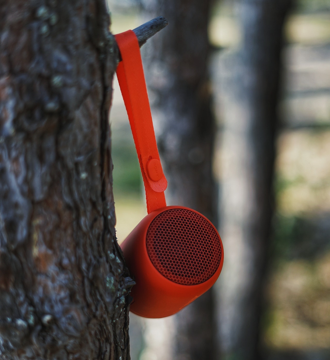 Bluetooth speakers